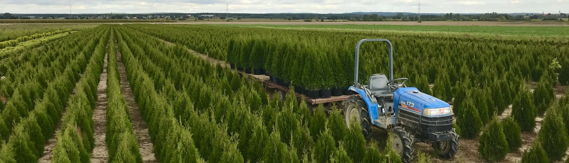 Vaade Marcinków 1 lasteaiast