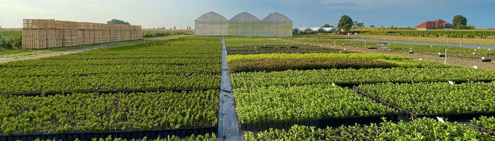 Vaade Marcinków 2 lasteaiast