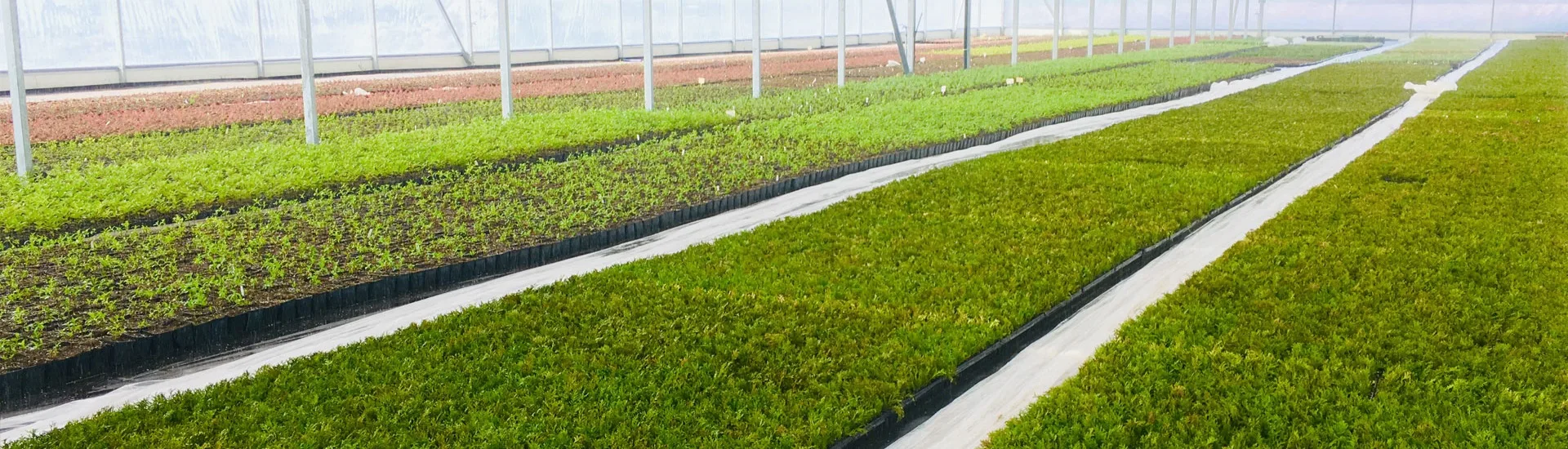 Vaade Marcinków 3 lasteaiast