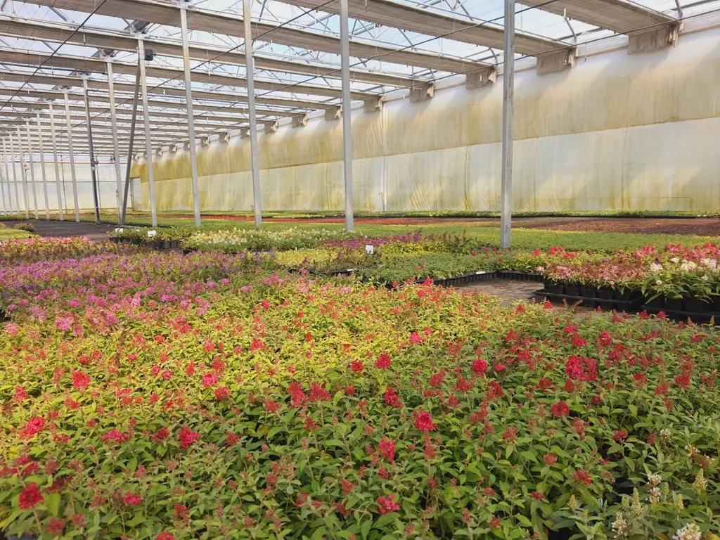 Vaade Marcinków 1 lasteaiast