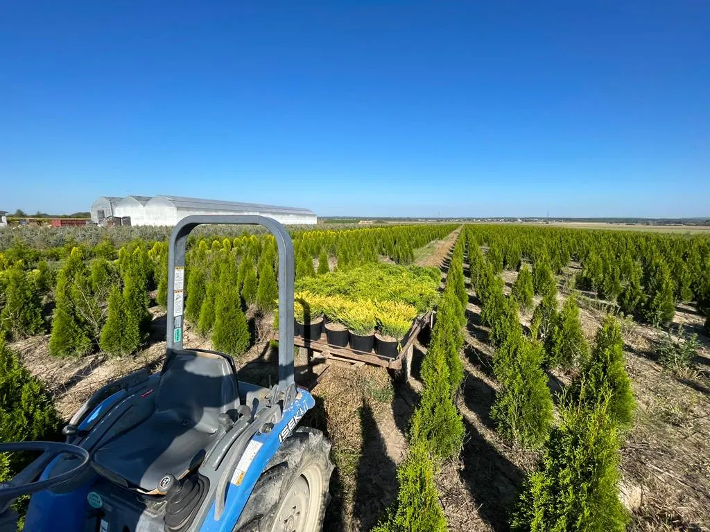 Vaade Marcinków 2 taimeaiast